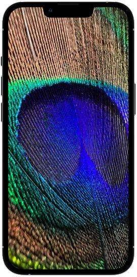 Apple iPhone 13 Pro 1TB - 4