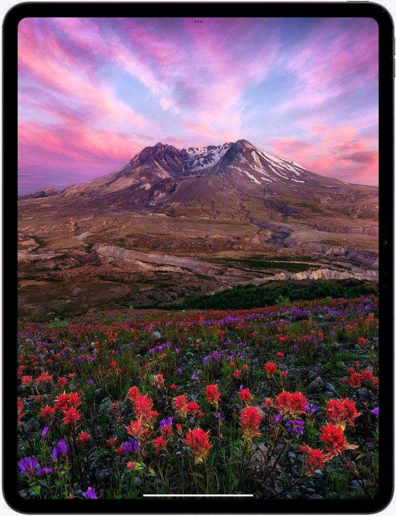 Apple iPad Pro 11 M4 (2024) 1TB WiFi Cellular - 5