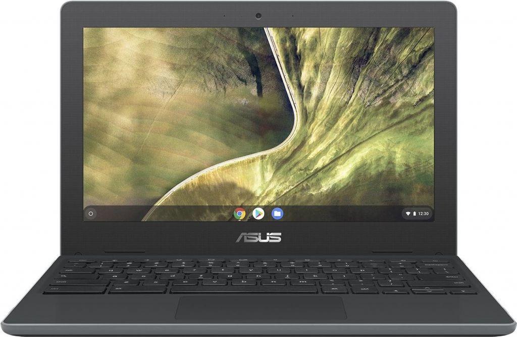 ASUS Chromebook C204 (C204MA-GJ0512)